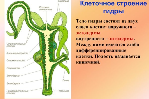 Ссылка на кракен тор браузер