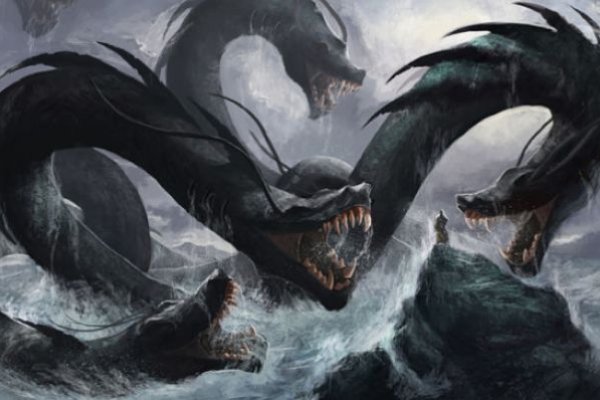 Www kraken 20at net