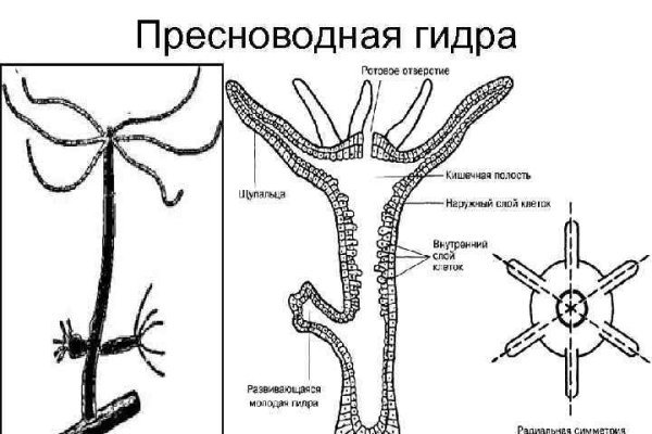 Кракен сайт 18at