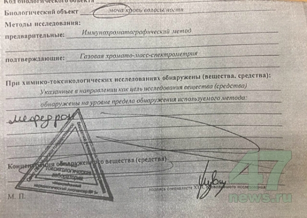 Как зайти в кракен с айфона